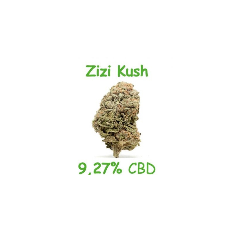 zizi kush