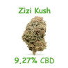 zizi kush