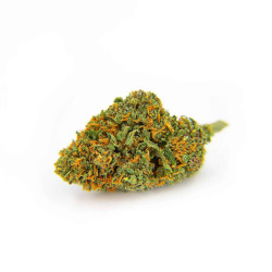 Orange Bud 1g